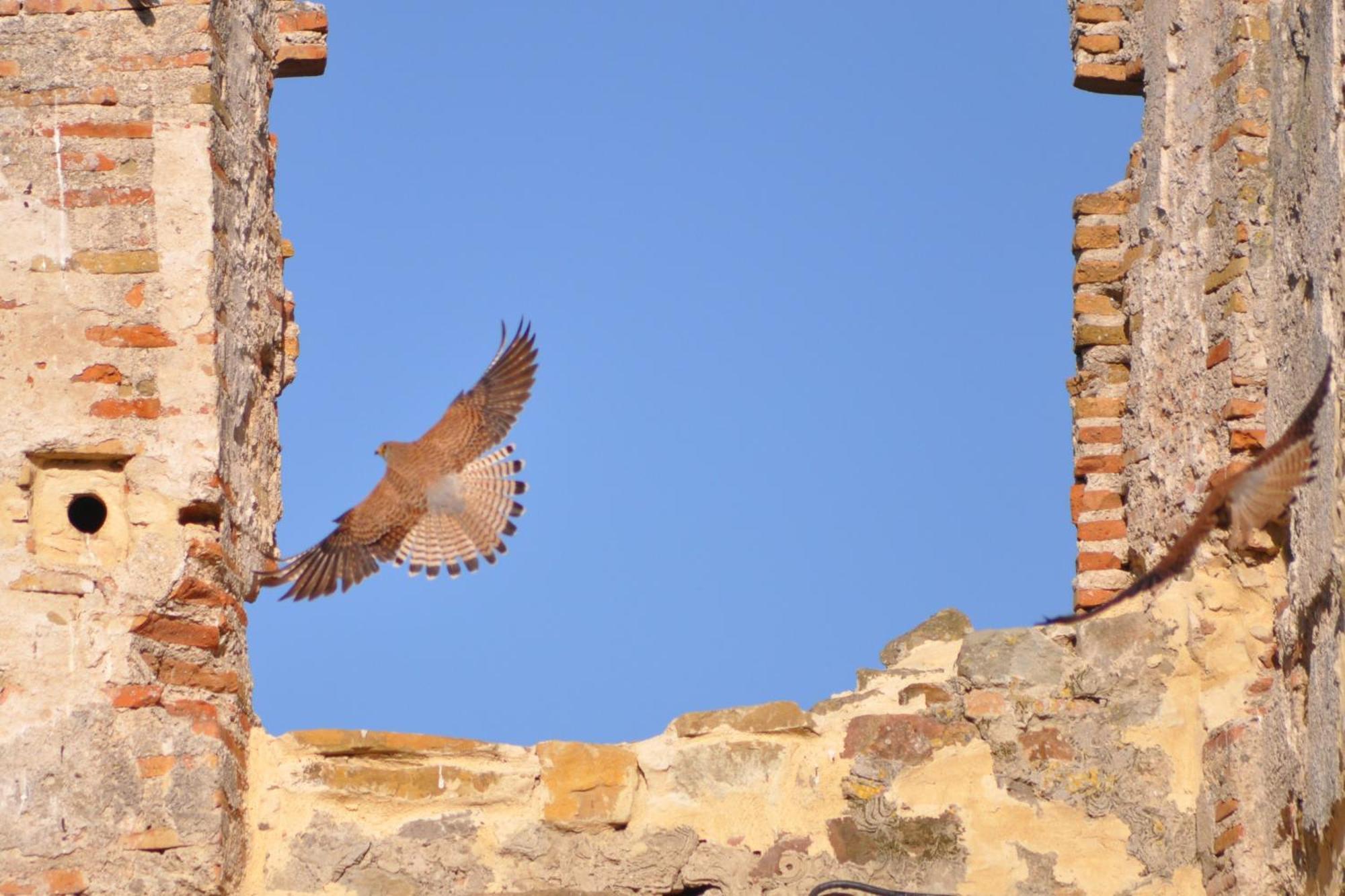 Convento Tarifa Ξενοδοχείο Εξωτερικό φωτογραφία