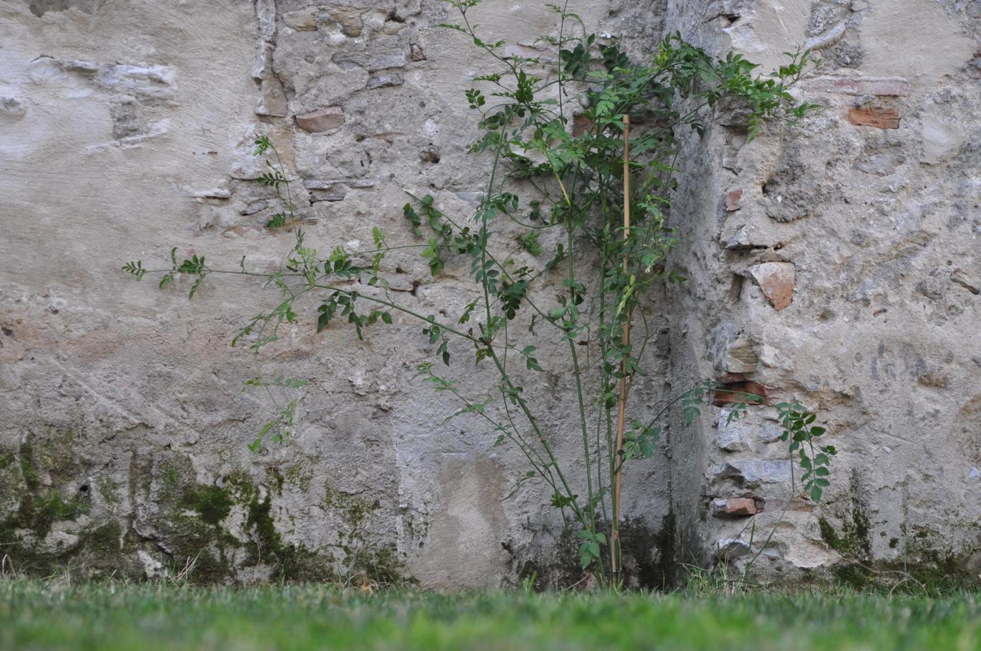 Convento Tarifa Ξενοδοχείο Εξωτερικό φωτογραφία